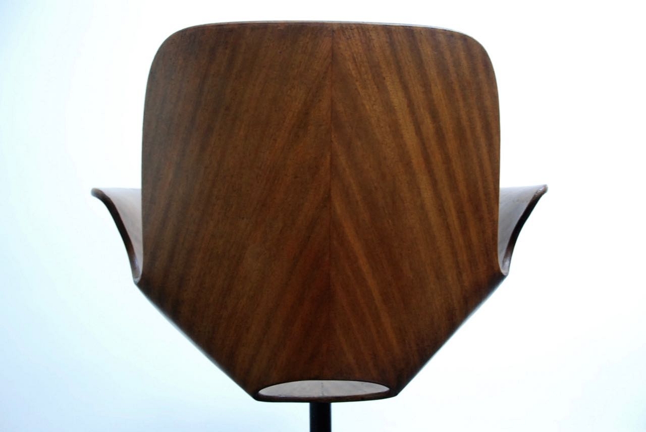 Vittorio Nobili Medea chair