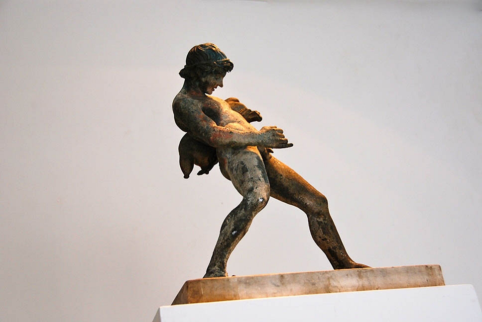 Faune