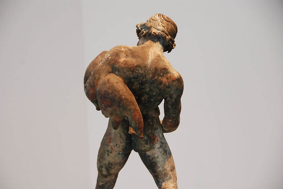 Faune