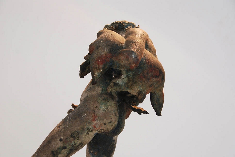 Faune