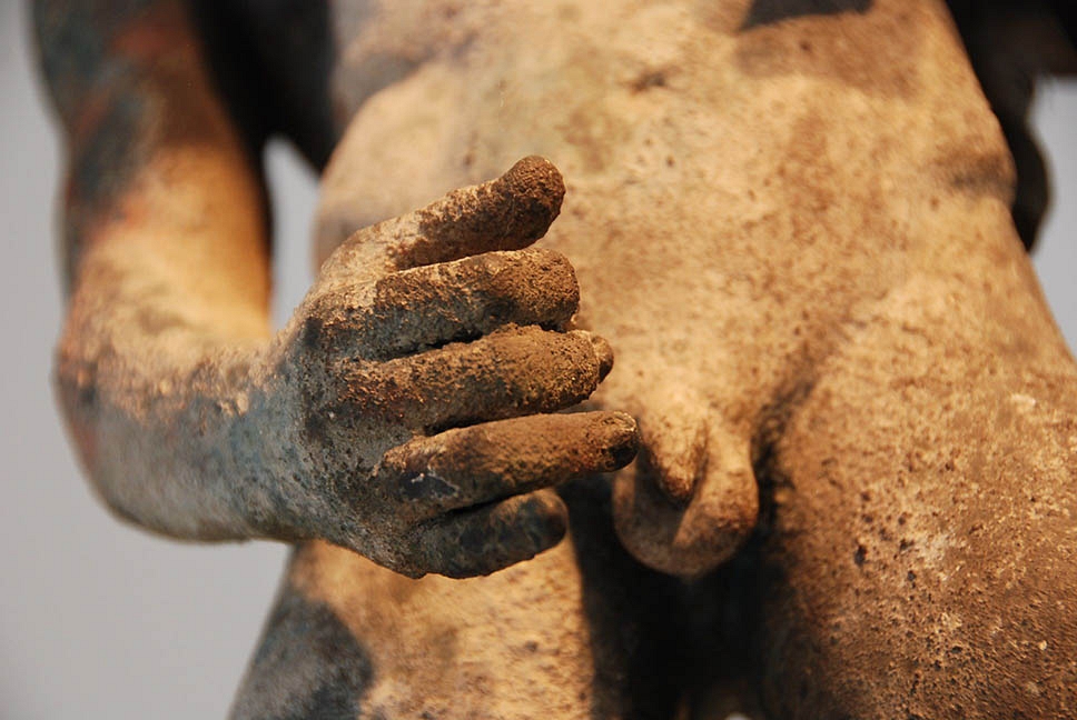 Faune