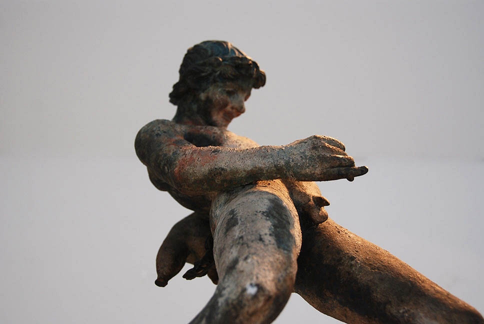 Faune