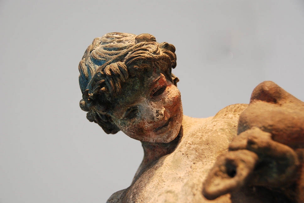 Faune
