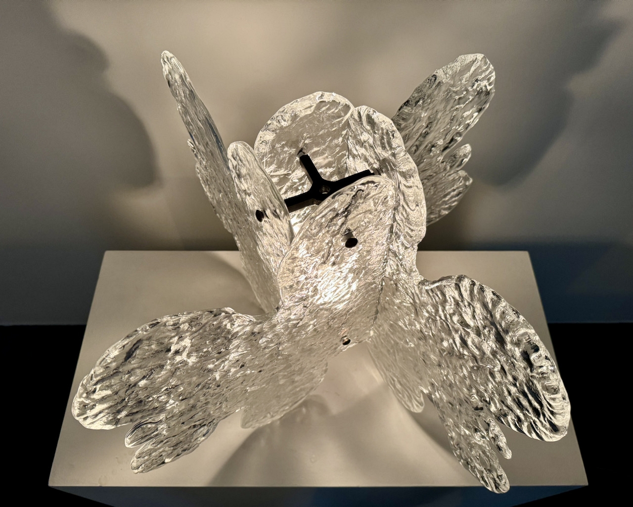 LT355 by C. Nason